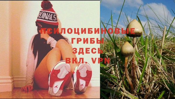 мет Няндома
