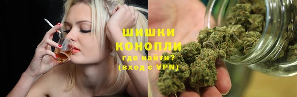 мет Няндома