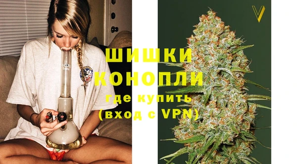 мет Няндома