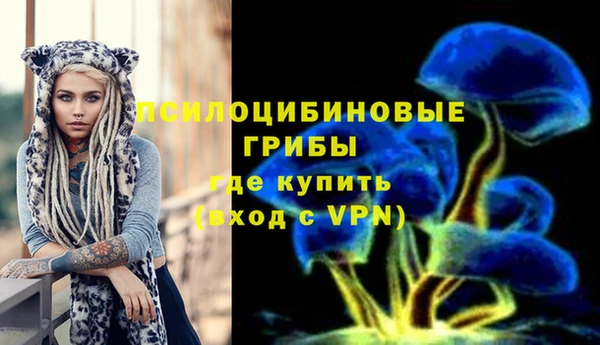 мет Няндома