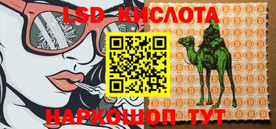 индика Балахна