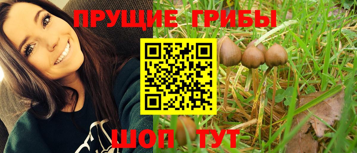 Галлюциногенные грибы ЛСД Удомля